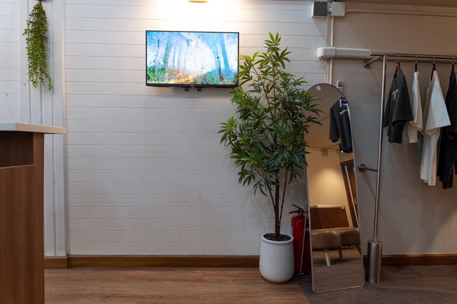Relaxation lounge with plant and mirror